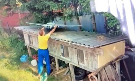 Falling From the Sky or Planted for War? The Case of the Drone on the Roof