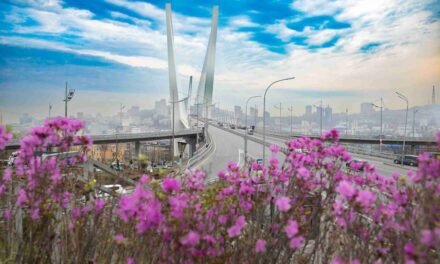 Diana Part IV: From Independence to Vladivostok