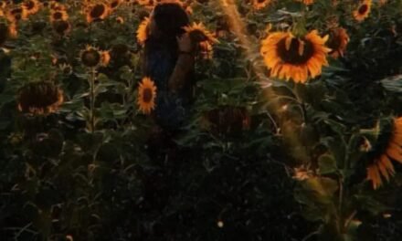 Life in Mariupol Ukraine Before the War