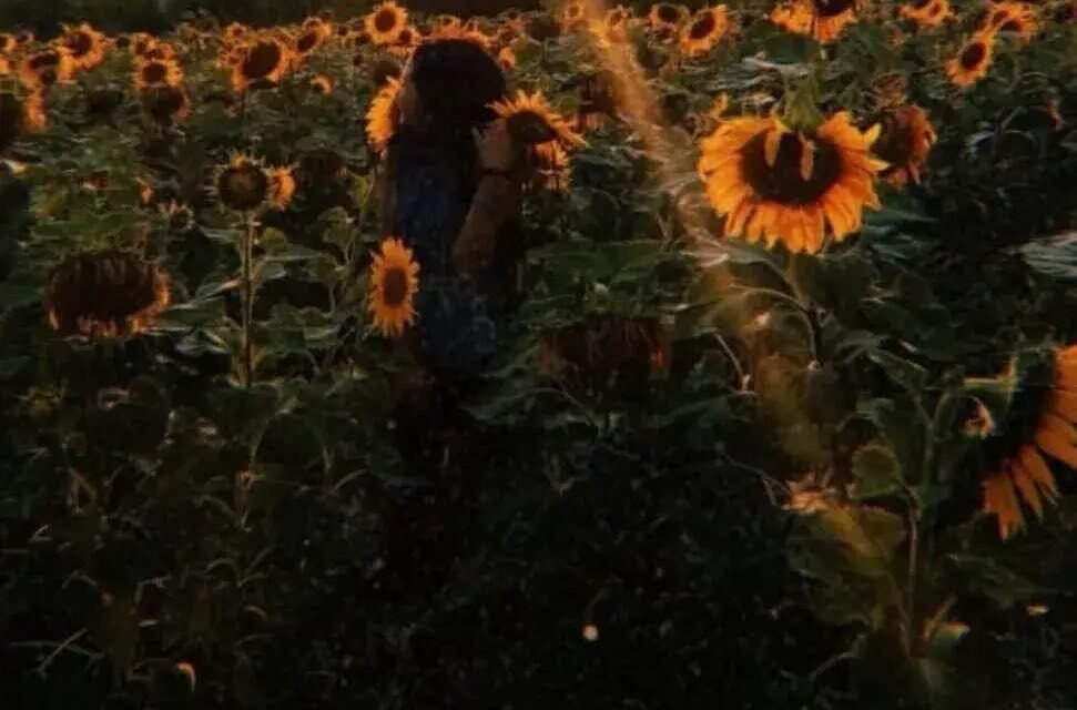 Life in Mariupol Ukraine Before the War